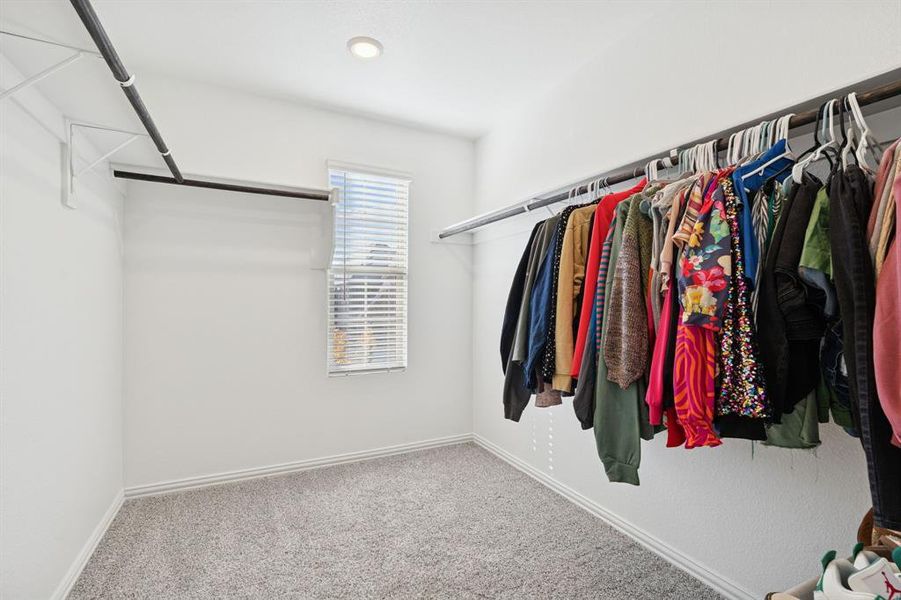 Spacious closet with carpet flooring