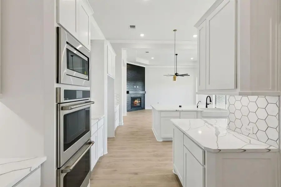 14-121Swan_014 14-121Swan_014