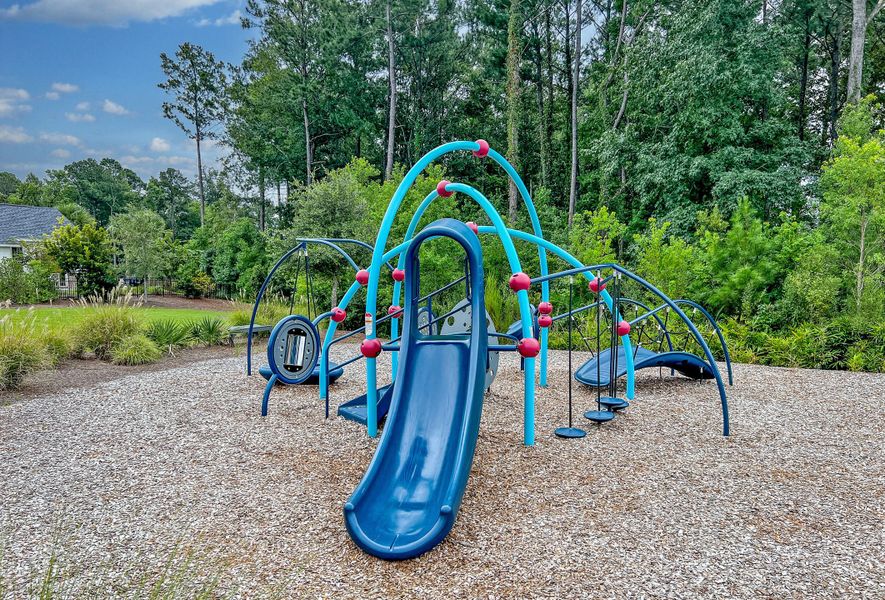 Community amenities in , Charleston (Image 49).