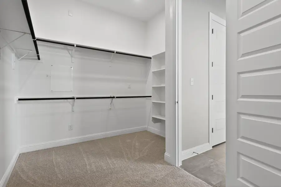 Spacious closet featuring light carpet