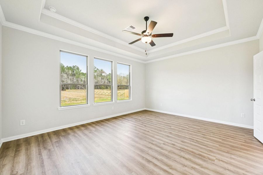 Spacious PRIMARY SUITE with a TRAY CEILING and peaceful backyard views—your perfect retreat!