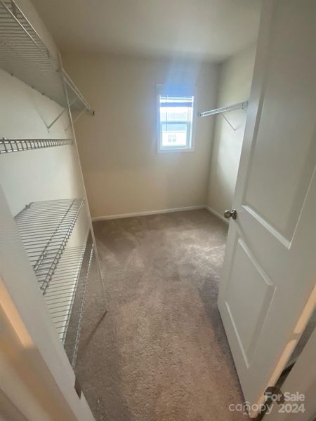 primary  walk in closet