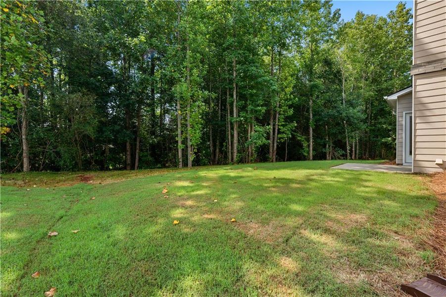 Natural landscape and outdoor views near  in Villa Rica (Image 48).