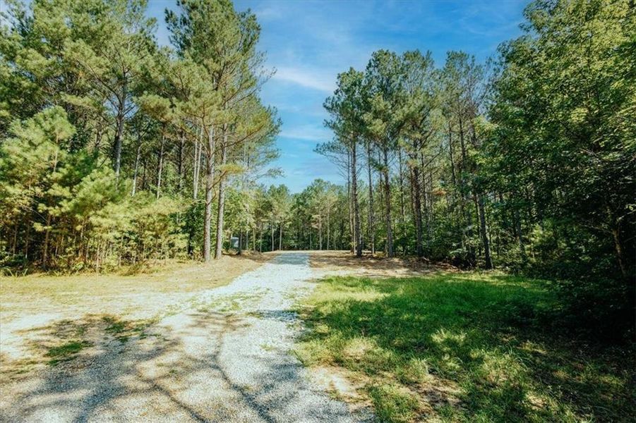 Natural landscape and outdoor views near  in Rockmart (Image 32).