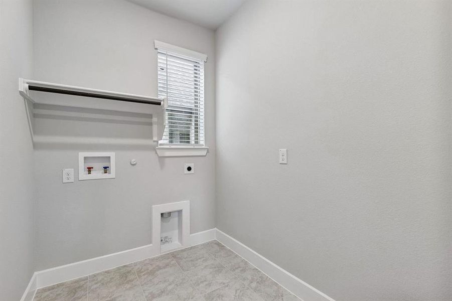 2101 Hazel Lily 2101 Hazel Lily