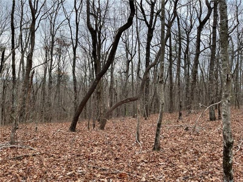 Image 28 of a home in .