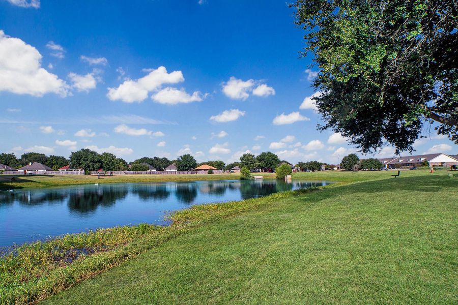 Natural landscape and outdoor views near  in Navasota (Image 25).