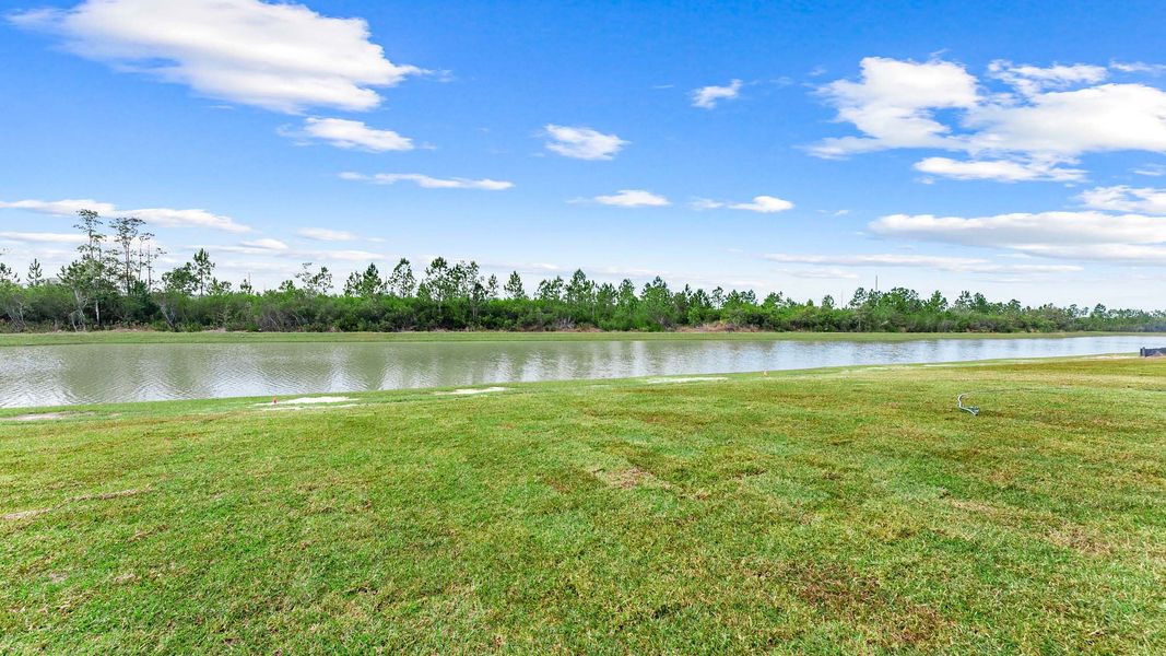 Natural landscape and outdoor views near Liberty in Panama City (Image 32).