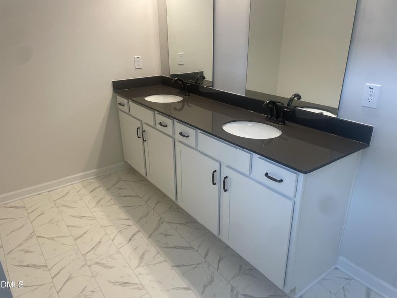Owner's Bath