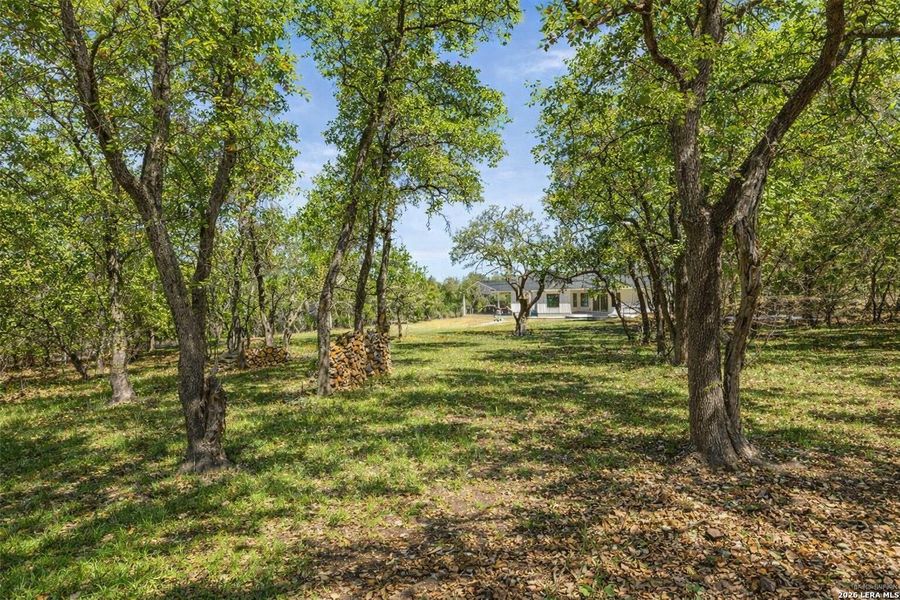 Natural landscape and outdoor views near  in Blanco (Image 32).