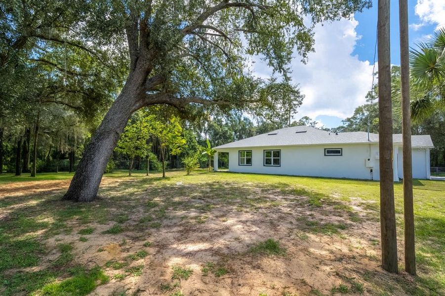 Natural landscape and outdoor views near in Orlando (Image 21). Natural landscape and outdoor views near in Orlando (Image 21).