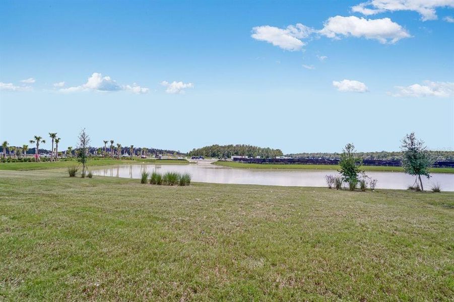 Natural landscape and outdoor views near Esplanade at Westview in Kissimmee (Image 31).