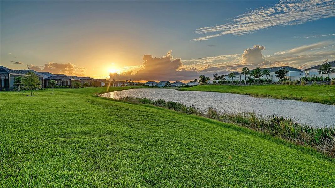 Natural landscape and outdoor views near Esplanade at Azario Lakewood Ranch in Lakewood Ranch (Image 86).