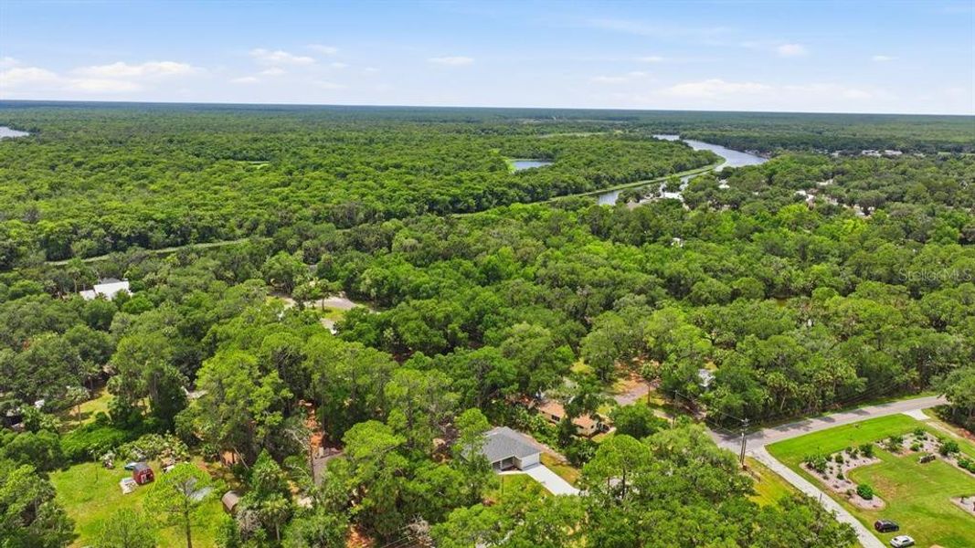 Natural landscape and outdoor views near  in Deland (Image 37).