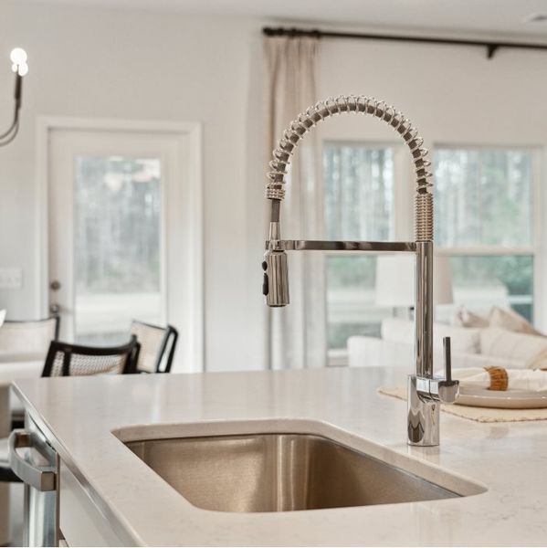 Osprey kitchen sink Osprey kitchen sink
