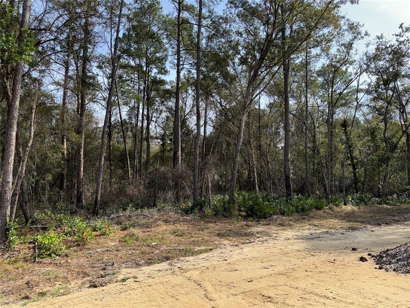 Natural landscape and outdoor views near in Ocala (Image 18). Natural landscape and outdoor views near in Ocala (Image 18).