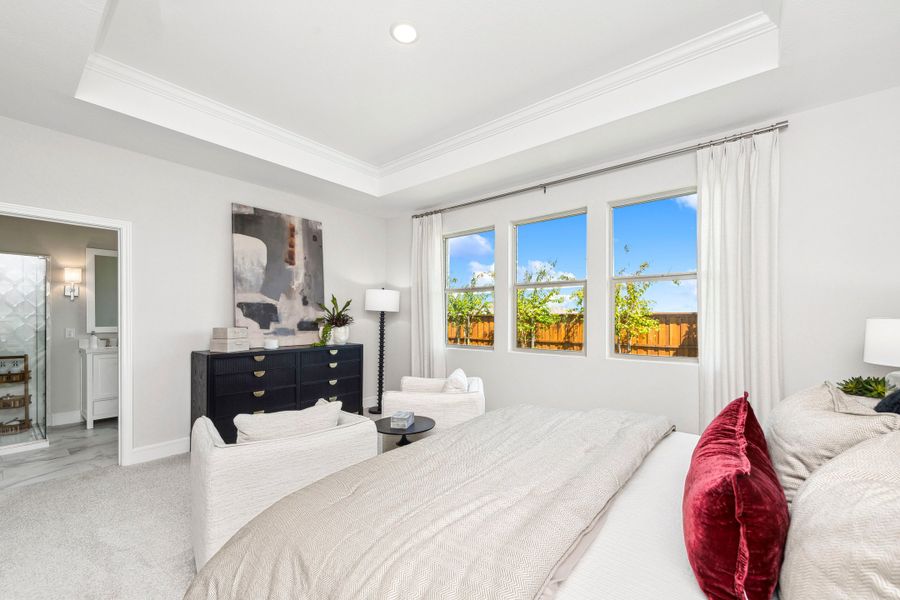 Primary suite with crown moulding in coffered ceiling and plush carpeting Primary suite with crown moulding in coffered ceiling and plush carpeting