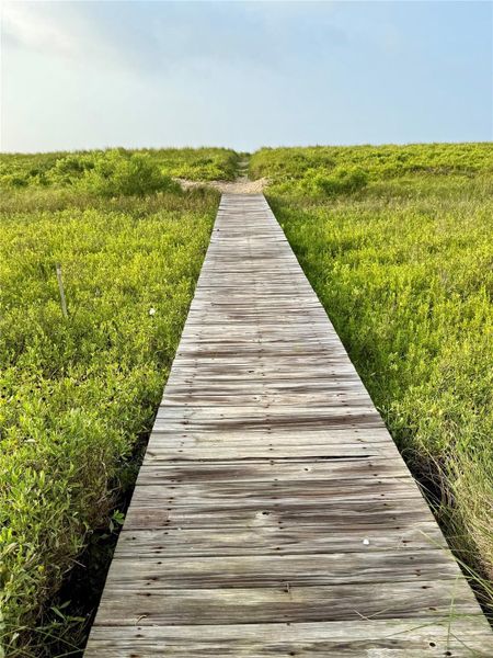 Well established boardwalk to beach. Well established boardwalk to beach.