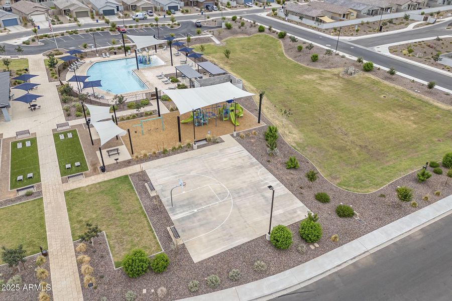 56-web-or-mls-Bee-2 56-web-or-mls-Bee-2