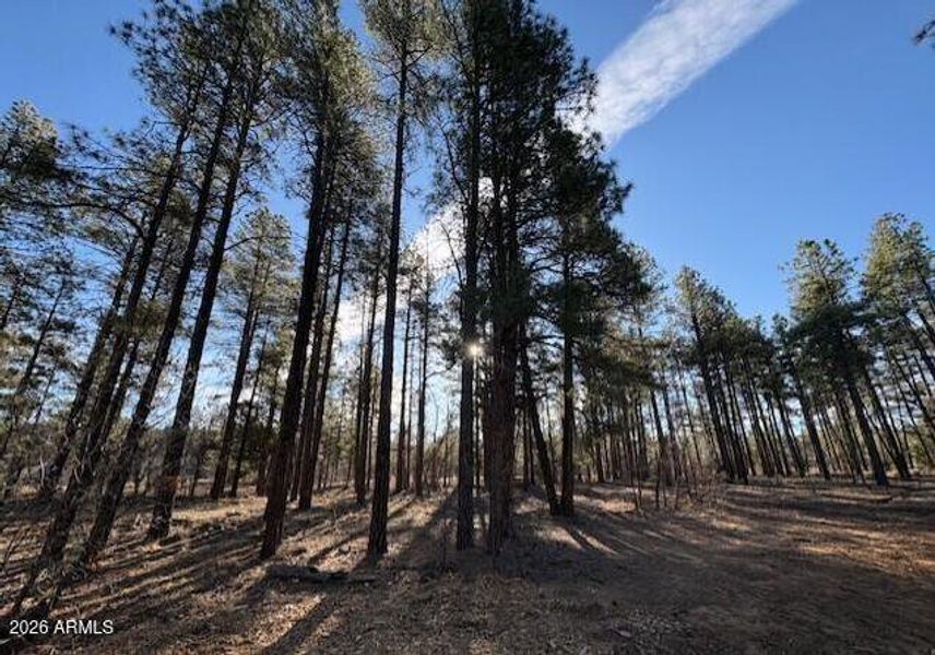 Screenshot 2026-02-24 102134