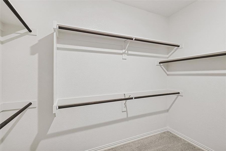 Spacious closet featuring carpet flooring