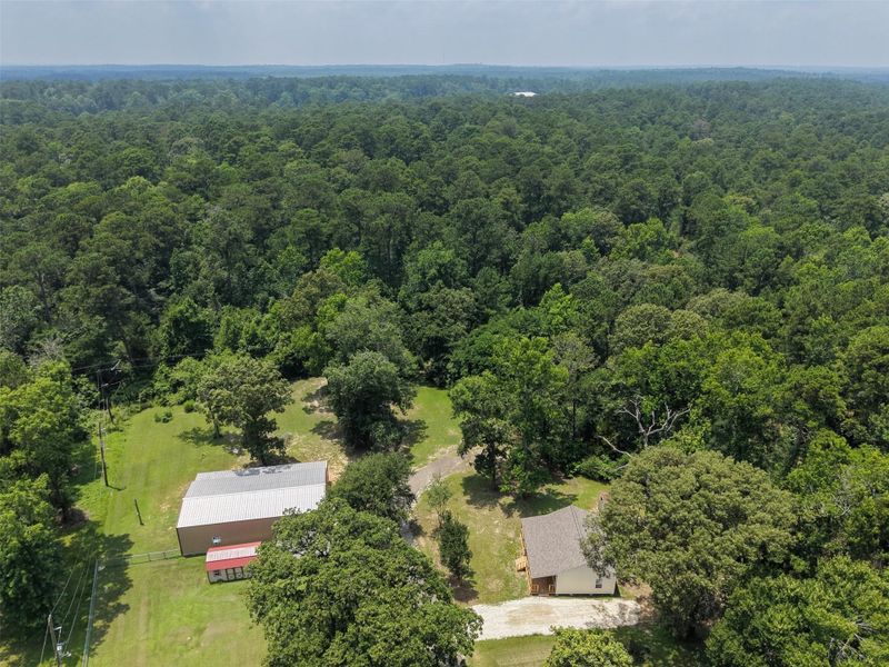 Natural landscape and outdoor views near  in Trinity (Image 24).