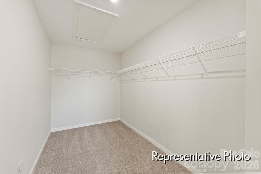 Spacious, unfurnished interior of a new home in , Red Cross (Image 15).