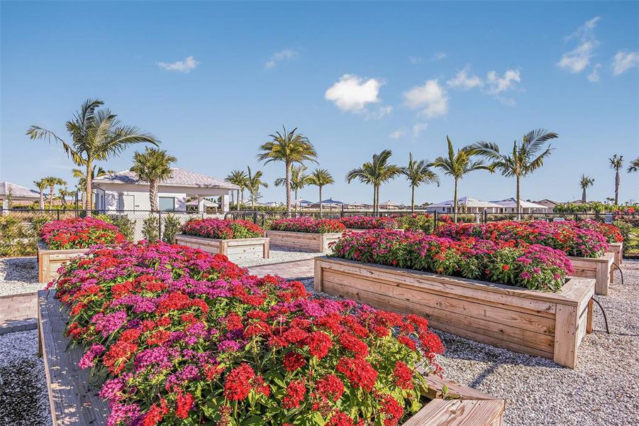 Image 31 of a home in Esplanade at Azario Lakewood Ranch.