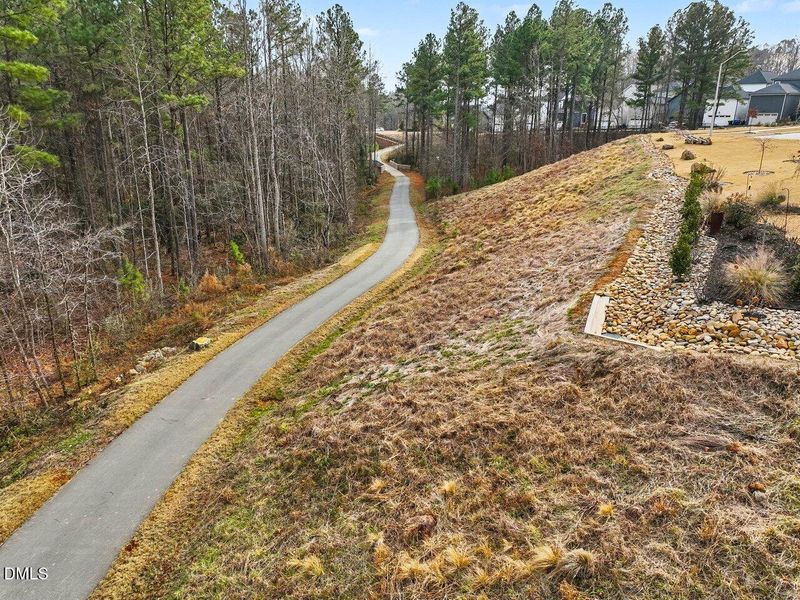 Adjacent to Trails 3