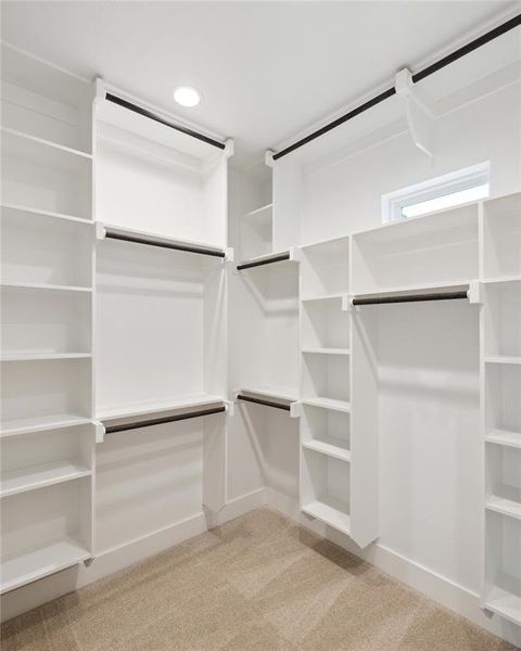 Spacious closet featuring light colored carpet