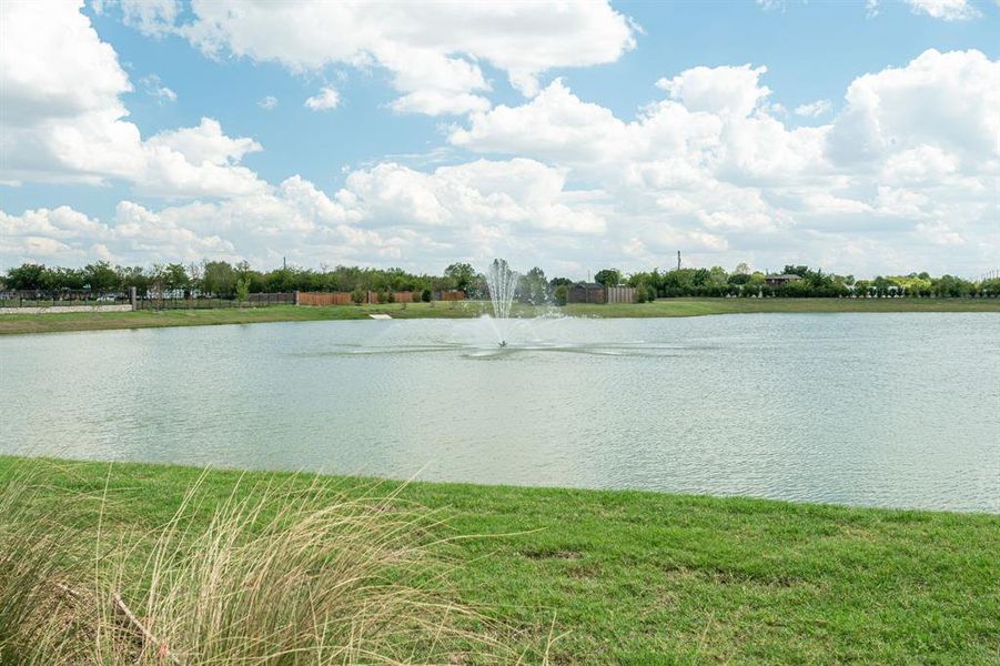 View of water feature