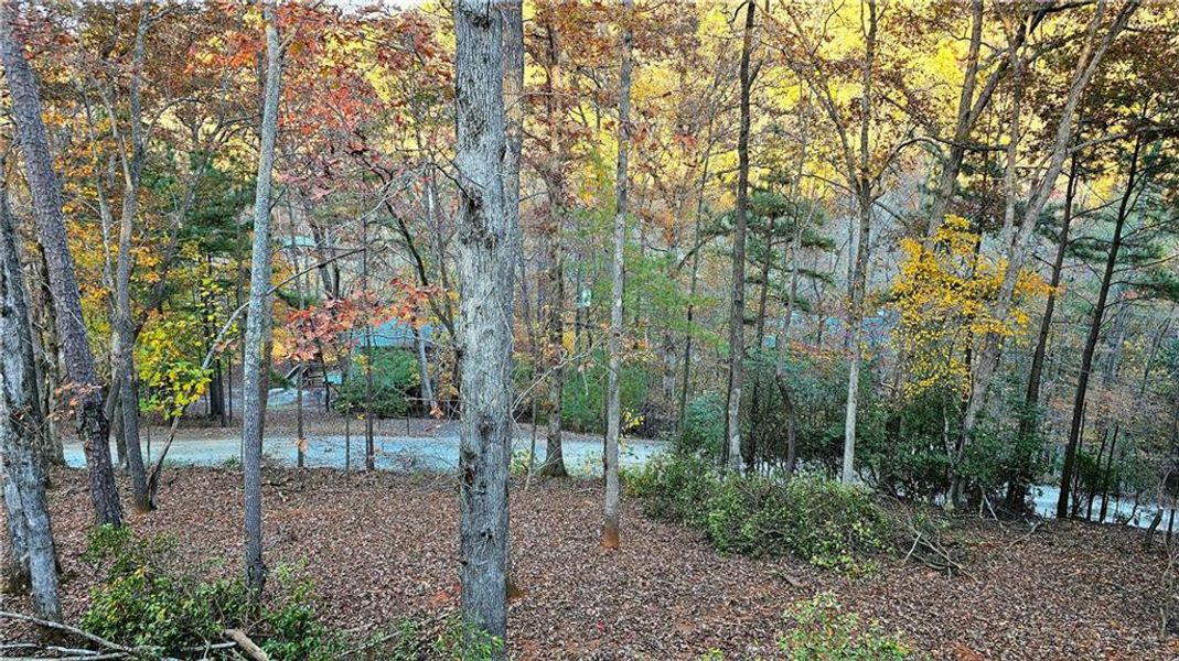 Natural landscape and outdoor views near  in Ellijay (Image 28).