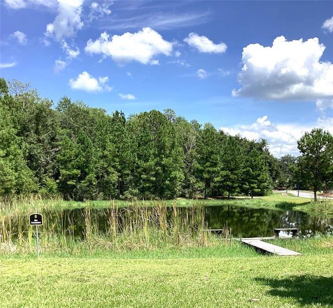 Natural landscape and outdoor views near The Preserve at Laurel Lake in Lake City (Image 6).