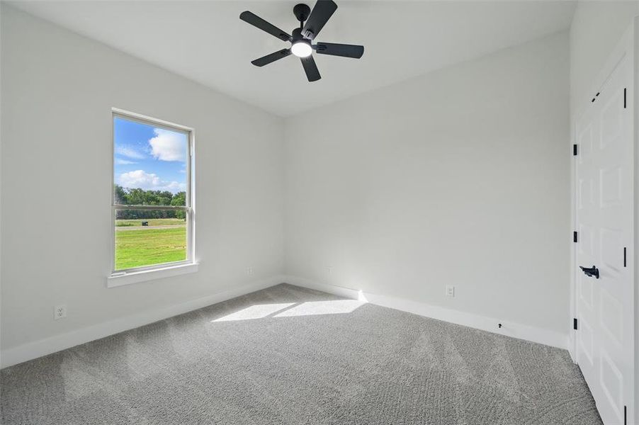 Carpeted empty room featuring baseboards and ceiling fan Carpeted empty room featuring baseboards and ceiling fan