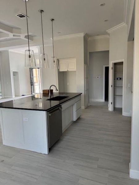 Kitchen with white cabinets, crown molding, pendant lighting, a large island with sink, and stainless steel dishwasher