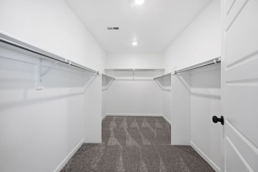 Spacious, unfurnished interior of a new home in Macanta, Castle Rock (Image 18).