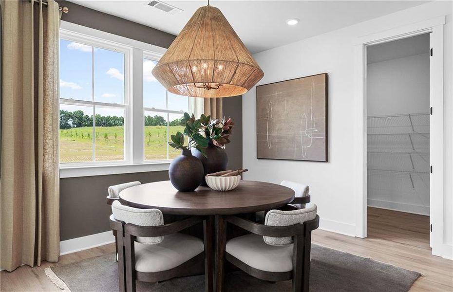 Furnished interior view inside a new home in Amherst, McDonough (Image 7).
