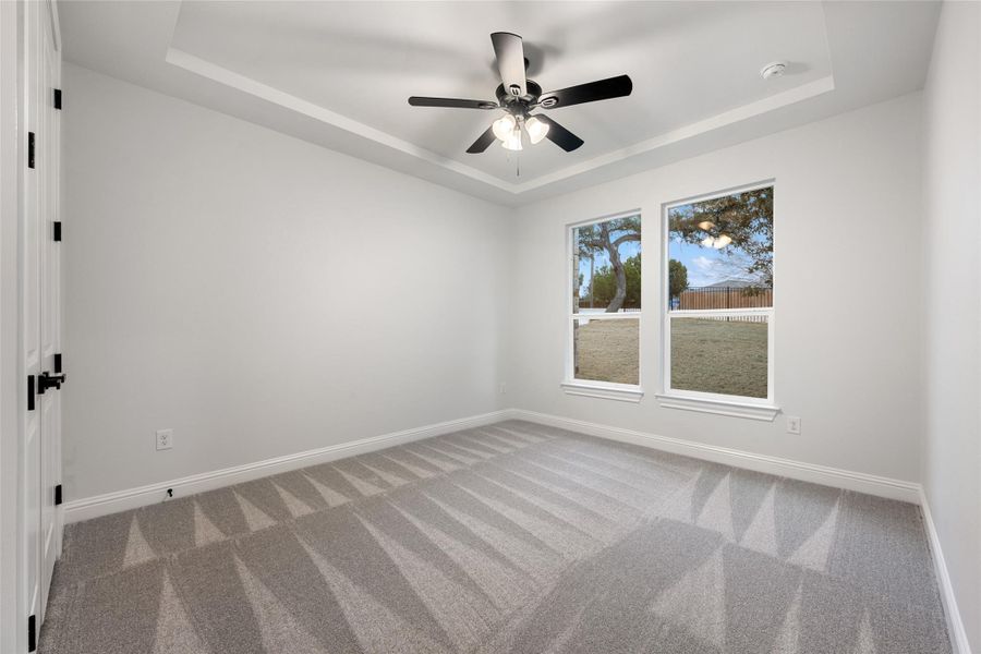 Unfurnished room #3 featuring a raised ceiling, a ceiling fan, and light carpet
