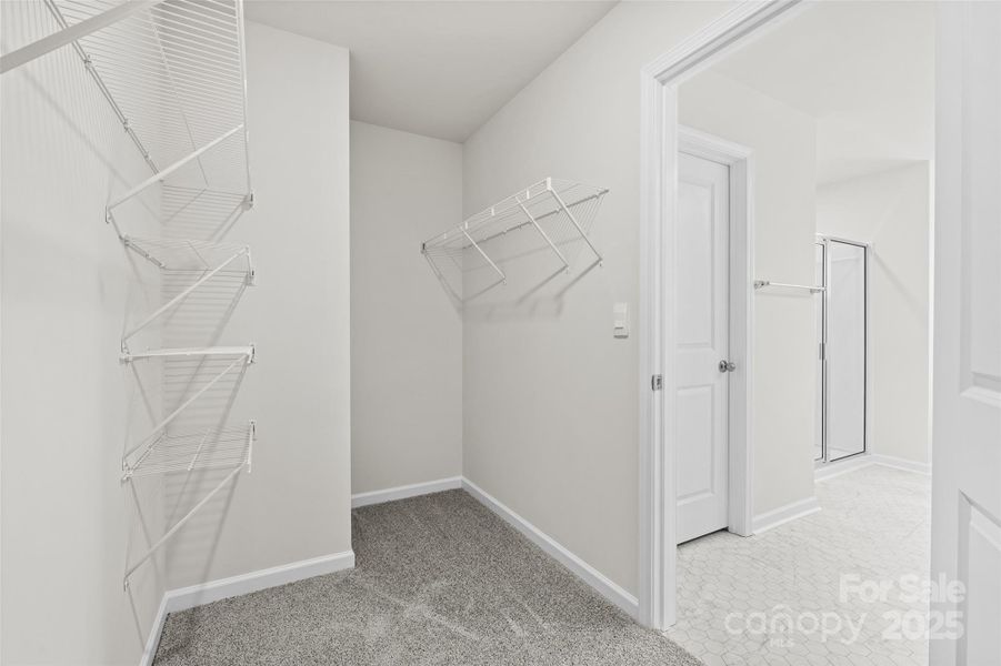 Photos are representative