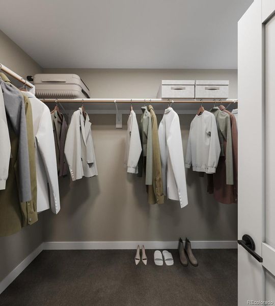 Representative Photo