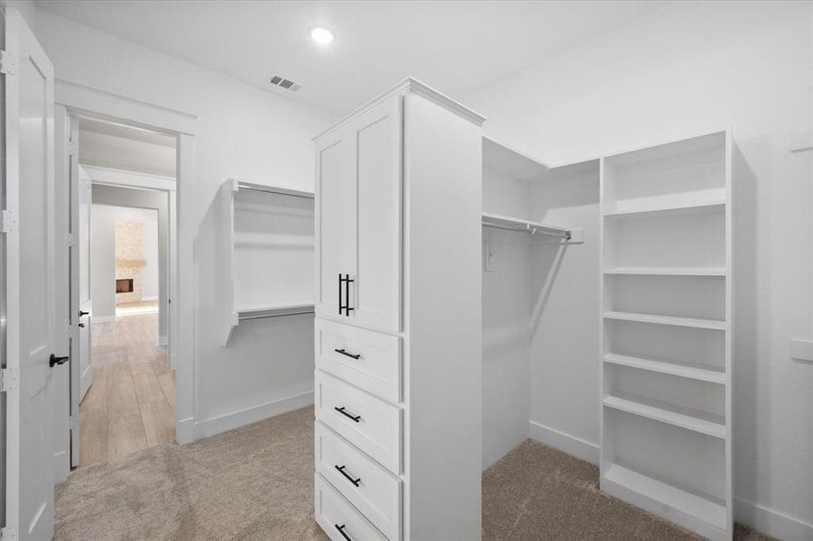 Spacious closet featuring light wood-type flooring