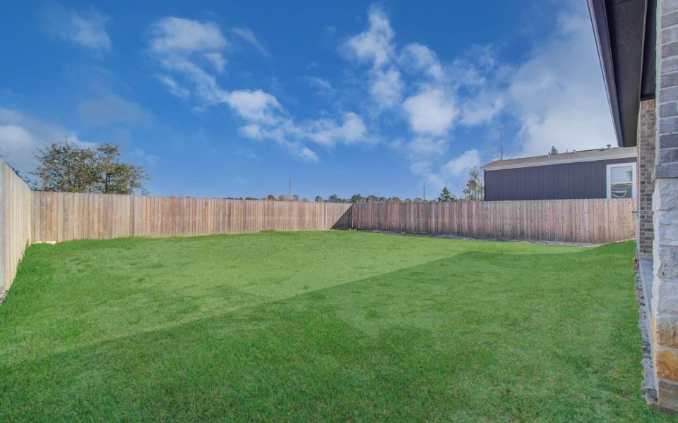 Backyard