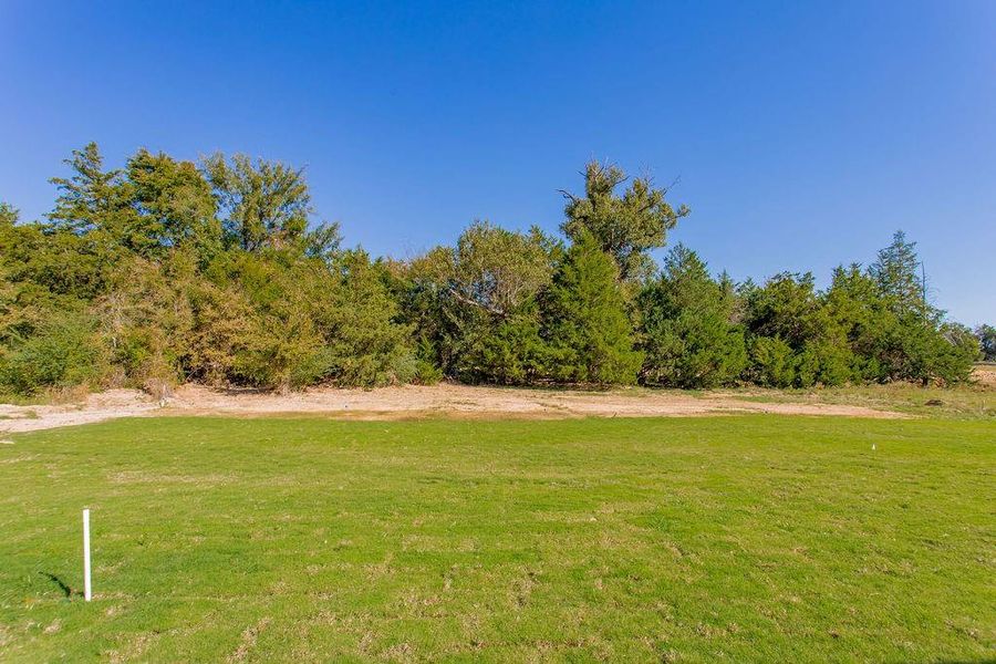 Natural landscape and outdoor views near  in Tyler (Image 34).