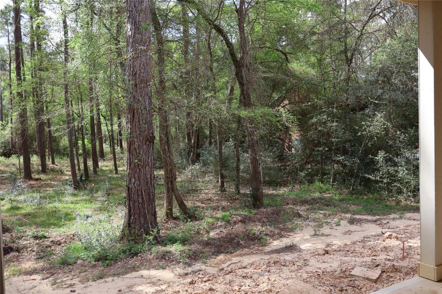 Natural landscape and outdoor views near  in Magnolia (Image 32).