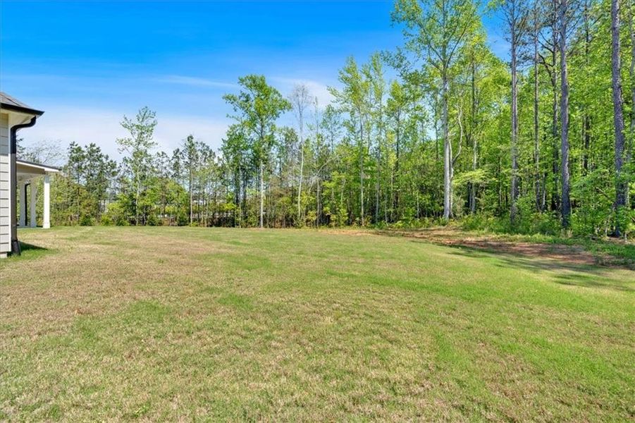 Exterior details and patio area of a home in Springside Reserve, Powder Springs (Image 23). Exterior details and patio area of a home in Springside Reserve, Powder Springs (Image 23).