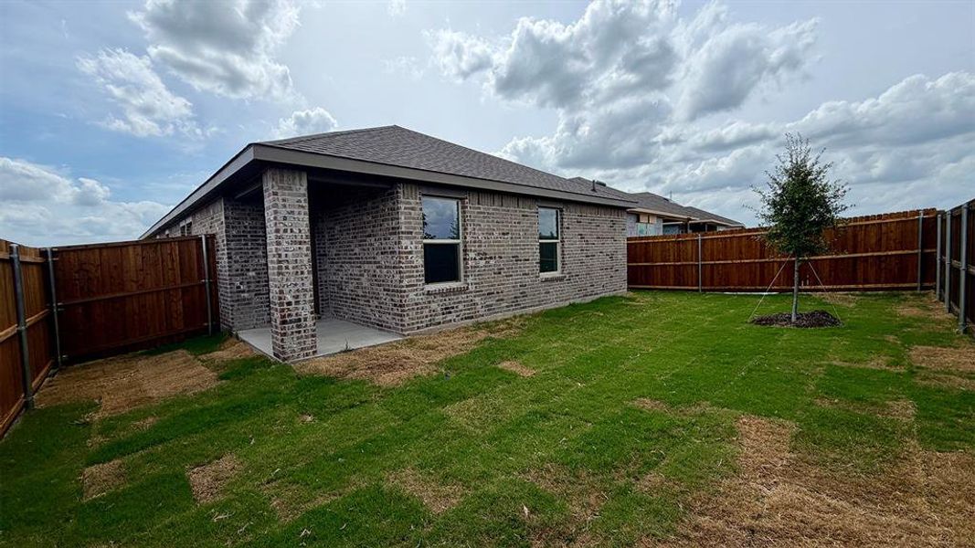 Expansive backyard featuring a brick exterior, covered patio, wood privacy fencing, and a newly planted tree