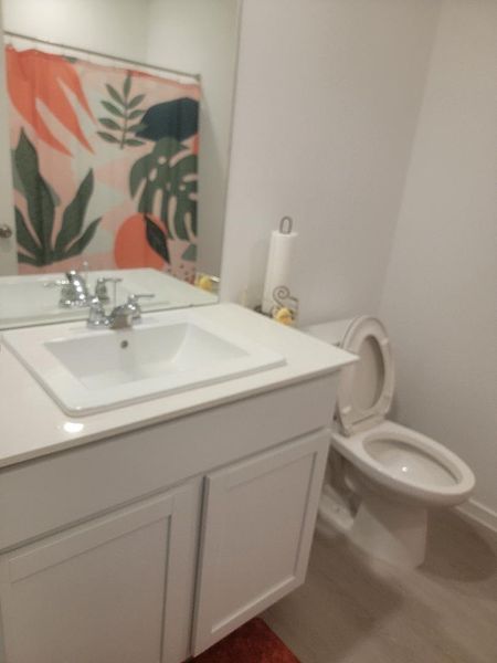 Guest bathroom. Guest bathroom.