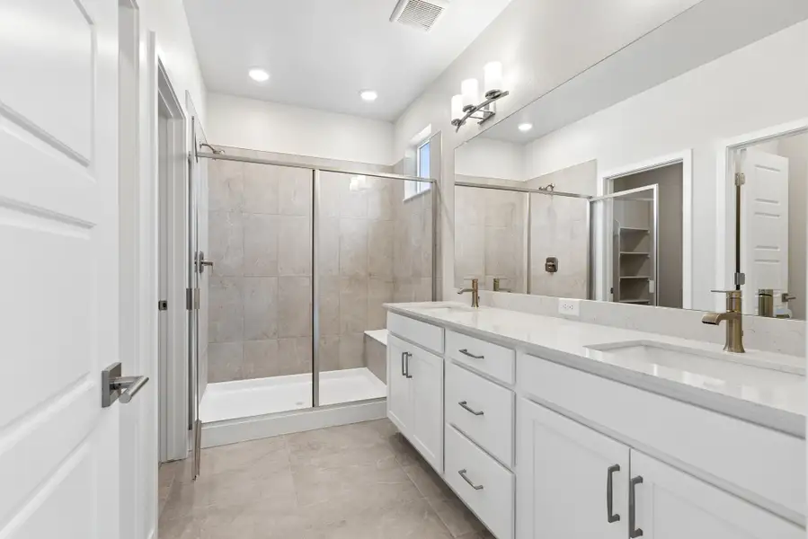 Owner's Bath