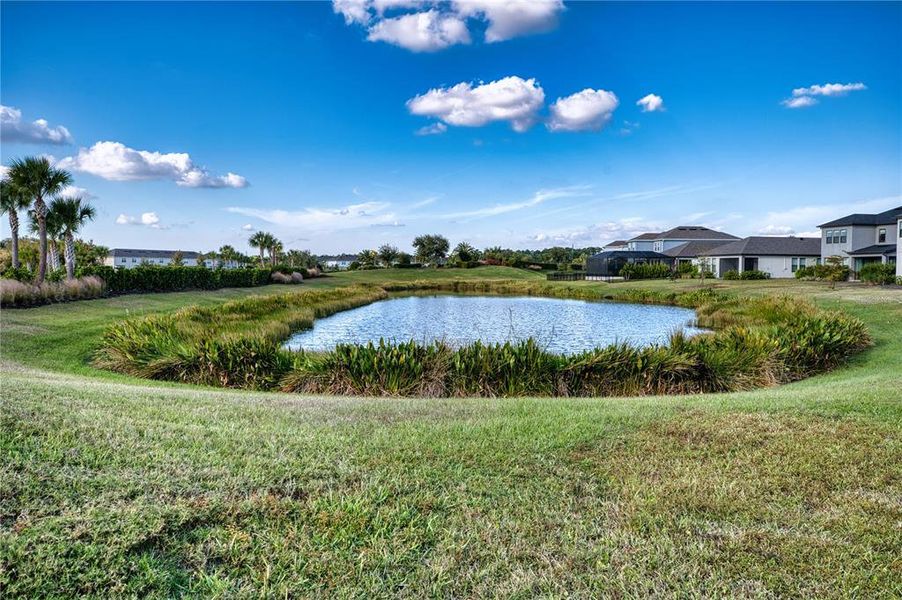 Natural landscape and outdoor views near in Sarasota (Image 51). Natural landscape and outdoor views near in Sarasota (Image 51).