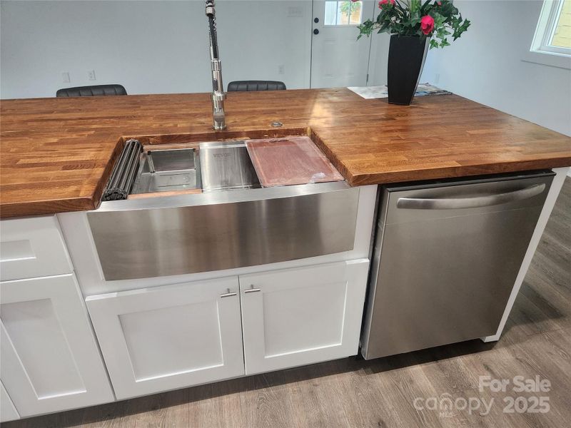 Farmhouse Sink and Dishwasher